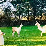 Apartment The Lazy Llama Farm Shepherd Hut *