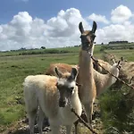 The Lazy Llama Farm Shepherd Hut Ballyshannon