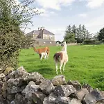 The Lazy Llama Farm Shepherd Hut Apartment *