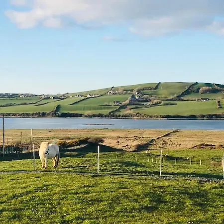 The Lazy Llama Farm Shepherd Hut