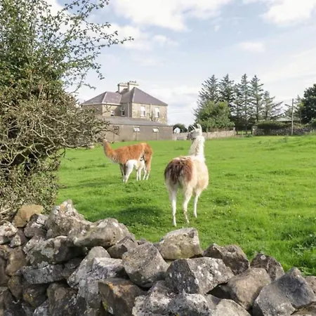 The Lazy Llama Farm Shepherd Hut Apartmán *