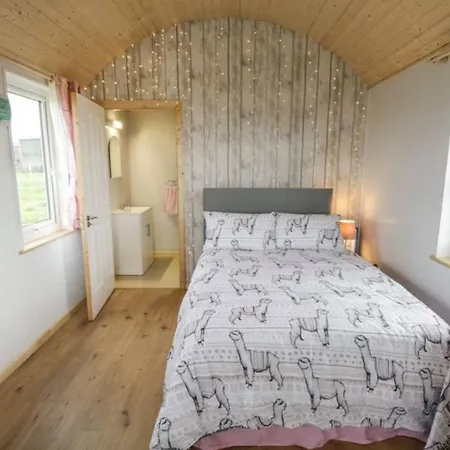 Lejlighed The Lazy Llama Farm Shepherd Hut Ballyshannon