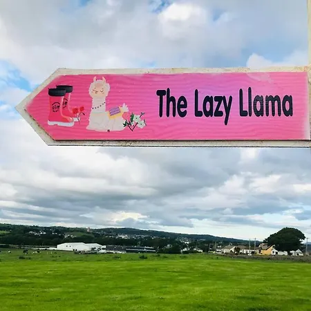 The Lazy Llama Farm Shepherd Hut Lejlighed Ballyshannon