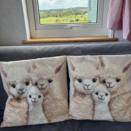 Lägenhet The Lazy Llama Farm Shepherd Hut