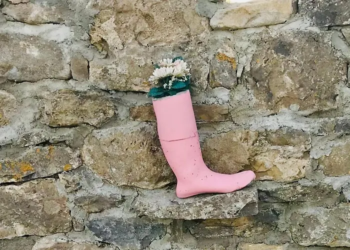 The Lazy Llama Farm Shepherd Hut * Баллишаннон