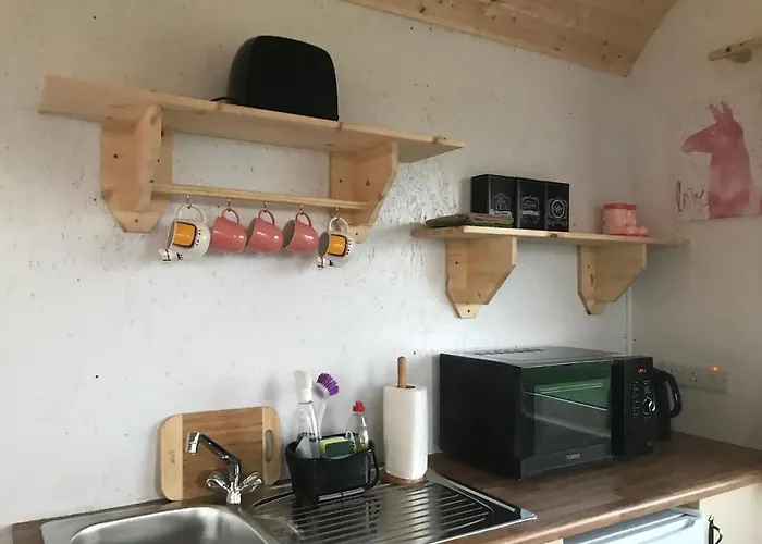 The Lazy Llama Farm Shepherd Hut