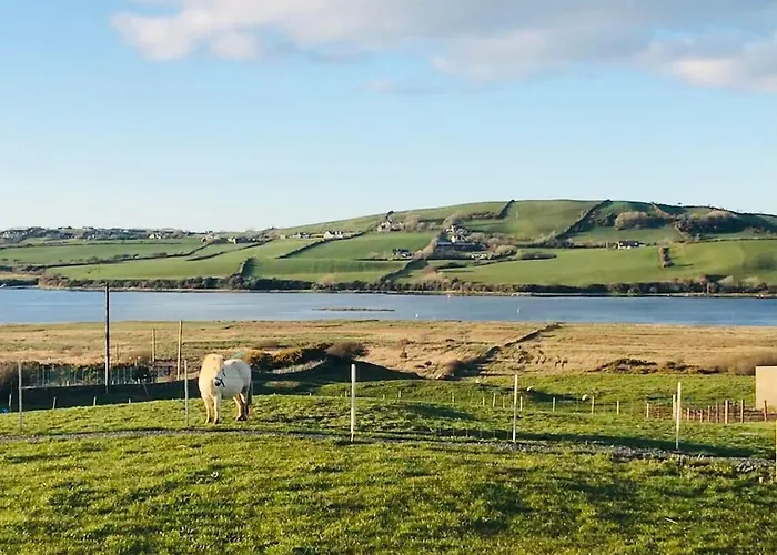 The Lazy Llama Farm Shepherd Hut