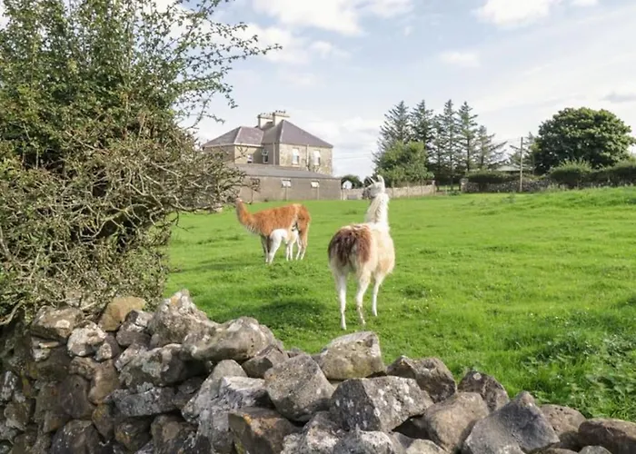The Lazy Llama Farm Shepherd Hut 아파트 *
